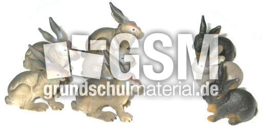 Hasen5+3.jpg